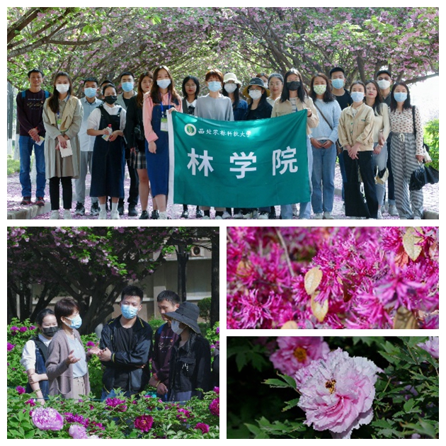 cad8d1077c754e55a62036322669cf17.jpg 光影魔术手拼图植物.jpg