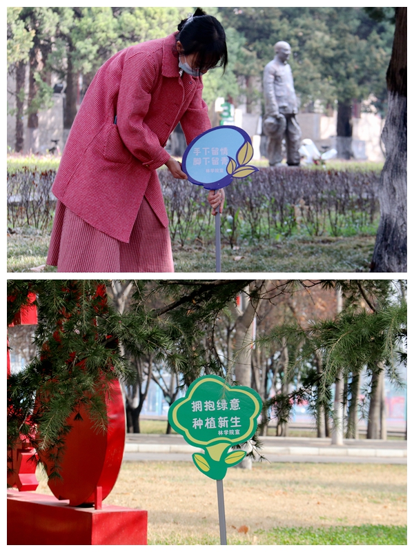 090faa8e20f34e2c87c26d43a690e1ac.jpg 植树节活动4_副本.jpg