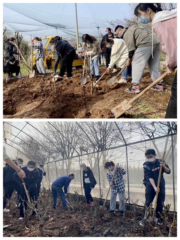 0272e35e92ed45d6bc81836da28114ee.jpg 植树节活动2_副本.jpg