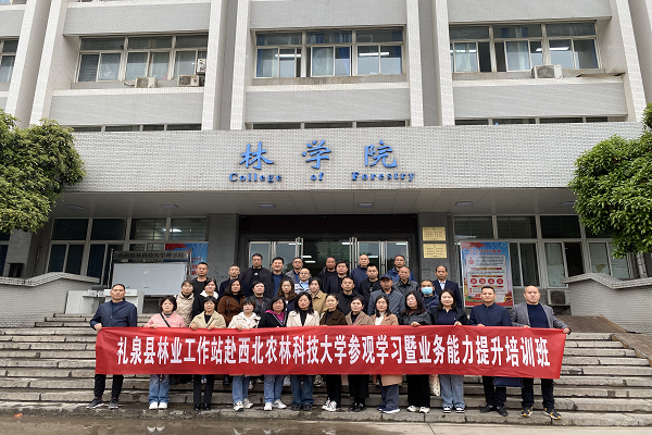 b42d792e567241ebb56f0953673bd728.png 图片7.png