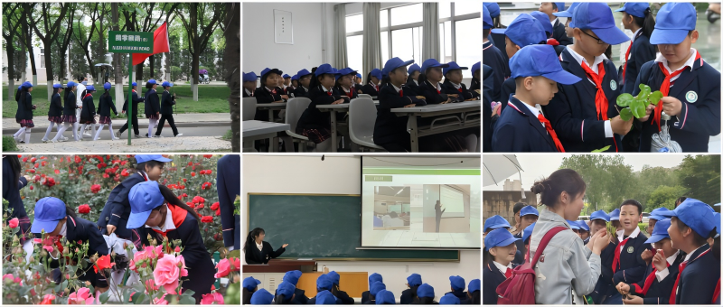 5fed91cedf9f40f08fb69d1df95a2cca.png WPS拼图1.png