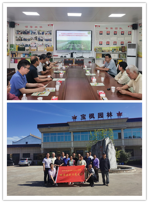 0cfa9431152b4bd9993a21034e576a2b.png 123.png