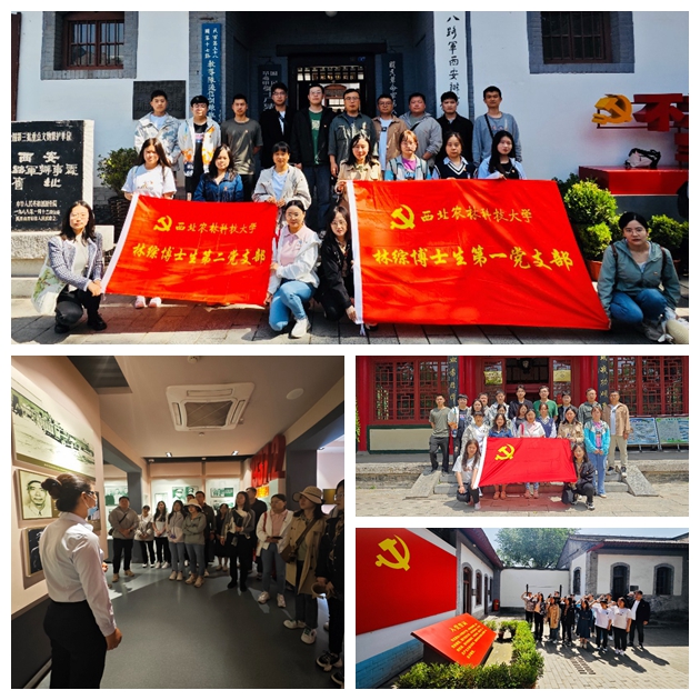 8e24aed885bf4d4eae50dfea4a0e3593.jpg 光影魔术手拼图.jpg