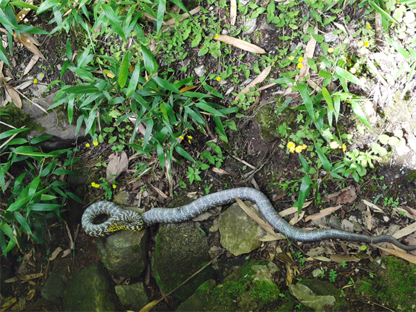 5fbfe8922d0c4c108b7619a99e27d8c1.jpg mmexport1688475696589.jpg