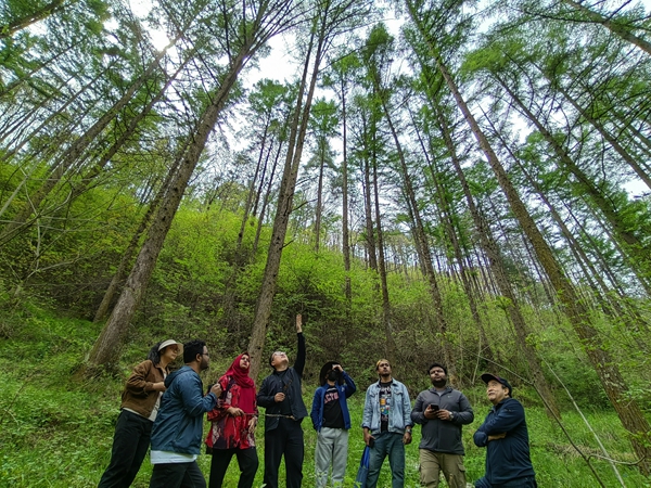 贝勒漫画
专家带领亚太森林留学生学习森林更新及经济林栽培技术_600副本.jpg