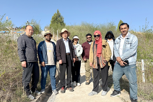 贝勒漫画
专家带领亚太森林留学生在榆林学习综合治沙以及黄土高原水土保持治理技术600.jpg